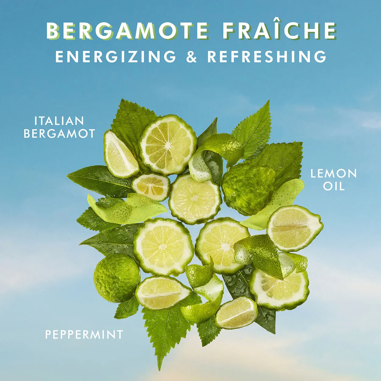 Body Lotion Bergamote Fraiche